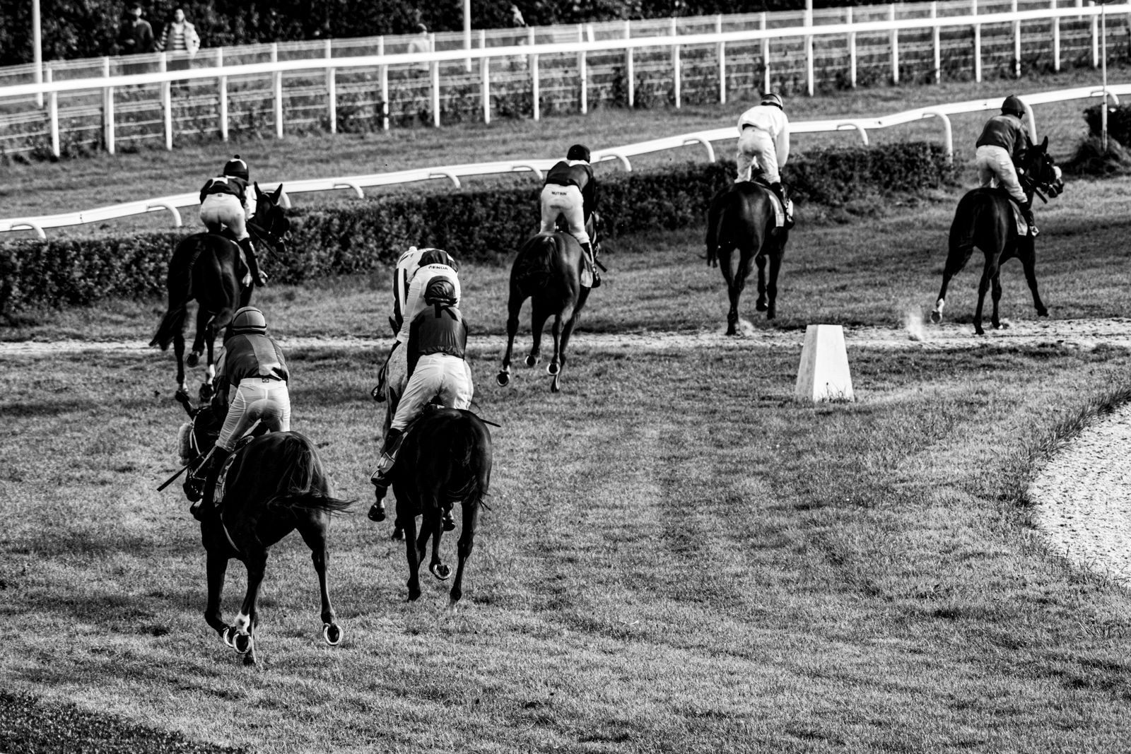 Analyses de courses